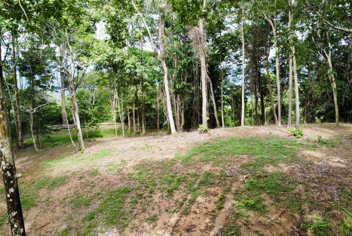 OCEAN AND FOREST VIEW PROPERTY MINUTES TO THE BEACH – 5.11 ACRES
